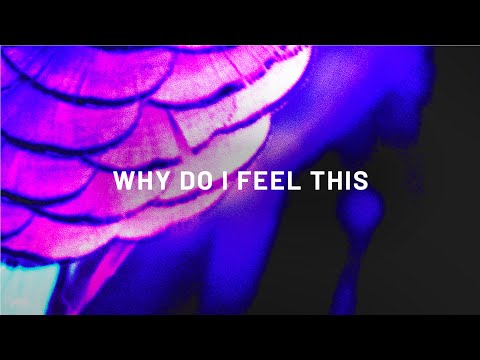 Mr. Sid & Choujaa - Why Do I Feel This