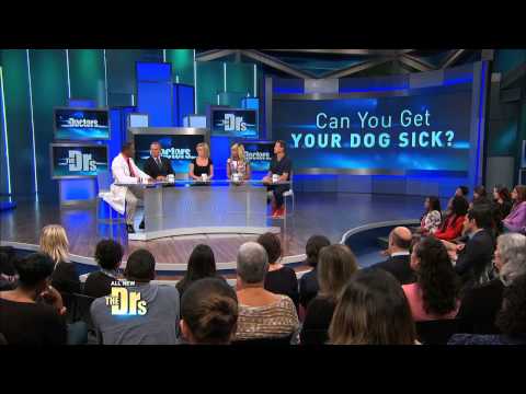 Can You Make Your Dog Sick?