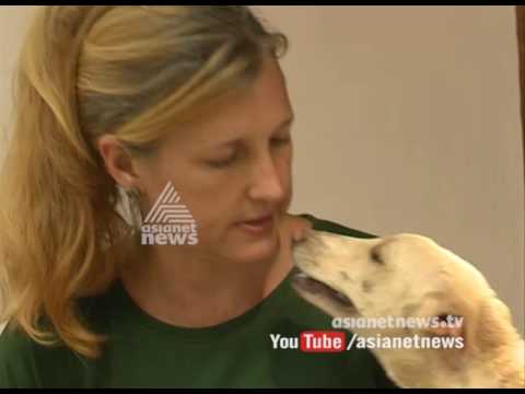 Street Dog lovers  | Anweshanam 26 Oct 2016