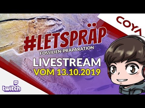 FOSSILIEN-PRÄPARIEREN • Fische aus dem Solnhofener Plattenkalk • #LETSPRÄP Livestream vom 13.10.2019