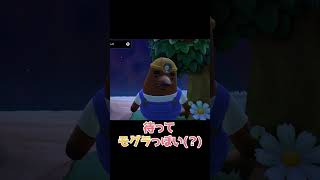 リセットさんの見た事のない表情【あつ森】