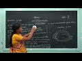 V Science Day 8 Our Nervous System Part 2