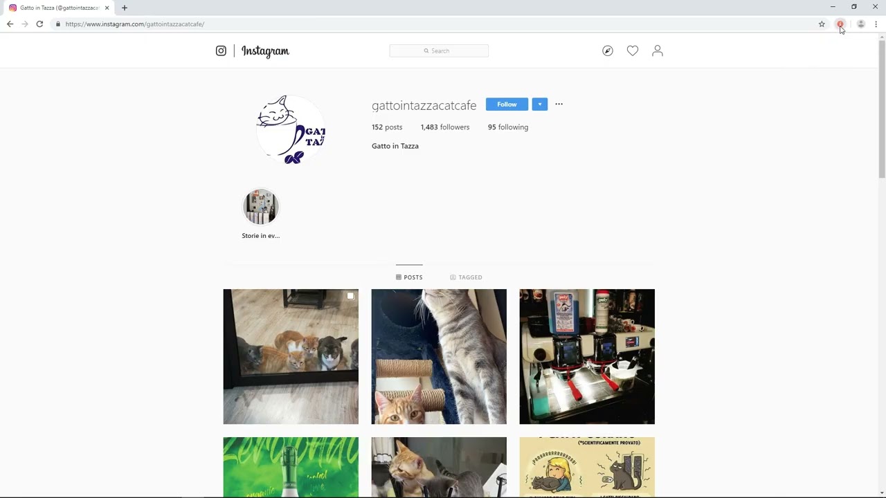 Export Instagram Followers to Excel Easily Using Available Tools and Data Extraction Methods