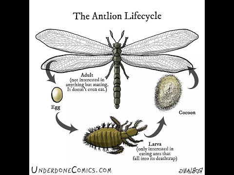 Undur Novyj Trend Smotret Onlajn Na Sajte Trendovi Ru