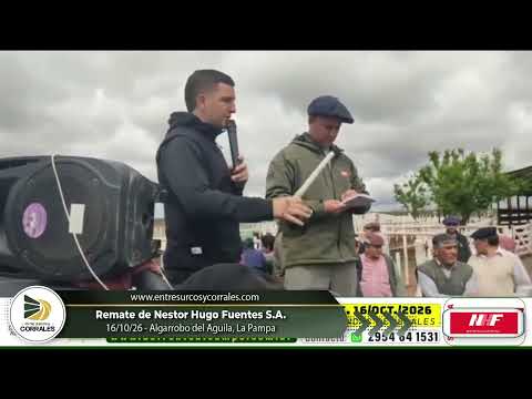 16-10-26 - Remate de Nestor Hugo Fuentes S.A. - Algarrobo del Aguila, La Pampa