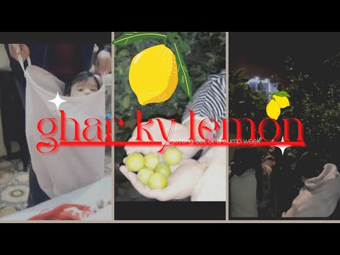 ghar k lemon//dado or nano sy milny gay||miral k sath late night mastiyan🥰