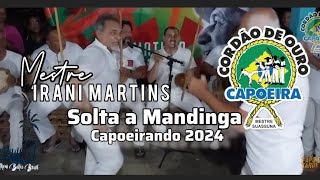 Mestre Irani solta a Mandinga, Capoeirando 2024, #papodtarde