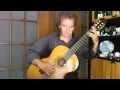 Symphony n° 5 by L. V. Beethoven (Excerpt from 1° mov.) Classical Guitar Arrangement by G. Torrisi