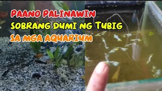 PAANO PALINAWIN ANG SOBRANG DUMI NANG TUBIG SA AQUARIUM