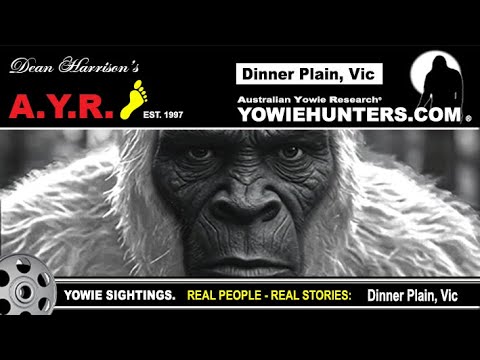 AYR Yowie / Bigfoot Sighting (Audio Reports #204) at Dinner Plain, Victoria