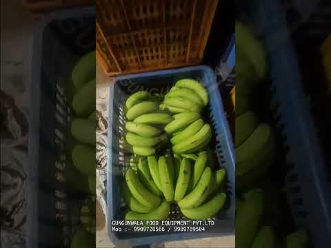 Fully Automatic Banana Plantain Chips Line