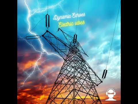 Dynamic Echoes - Electric Vibes FFR341