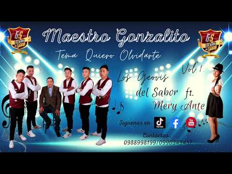 Quiero Olvidarte (Audio Oficial) - Los Geovis Del Sabor ft. Mery Ante