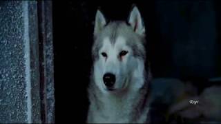 Hans Zimmer & Lisa Gerrard - Sorrow - Yvonne S. Moriarty [Orchestrator]