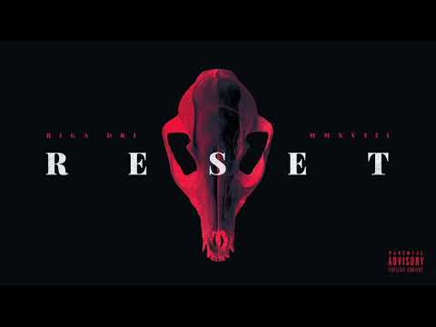 RIGA DRI - RESET