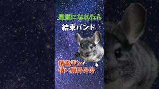 【星座になれたら/結束バンド】一発撮りで歌ってみた cover精霊王 #shorts