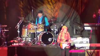 The monkeys at pne, continues 2016 / same old song / Mary Mary