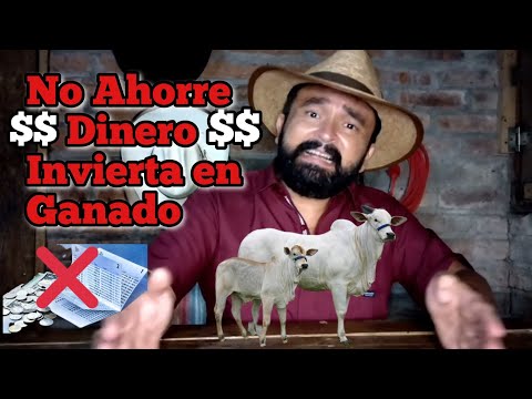 , title : 'No conviene Ahorrar Dinero en un Banco, inviertalo en Ganado de engorde.'