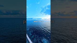 This is life on MSC World Europa — wandering the decks, watching the world glide by