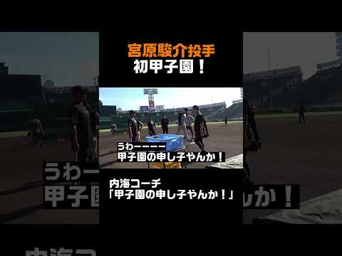 宮原駿介、初めての甲子園！ #shorts