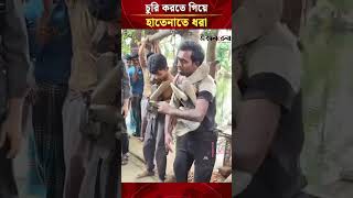 চুরি করতে গিয়ে হাতেনাতে ধরা,জুতার মালা পরিয়ে নাচানাচি করালো এলাকাবাসী | Daily Sakalbela