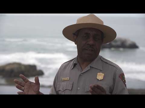 California Coastal Trail - Lands End, San Francisco
