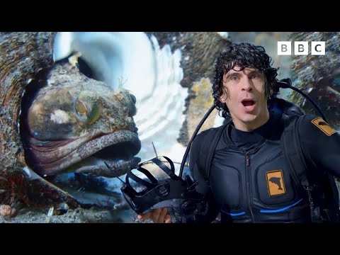 Andy's Aquatic Adventures MARATHON | Andy's Amazing Adventures