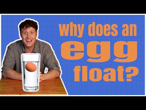 Why does an egg float in salt water?