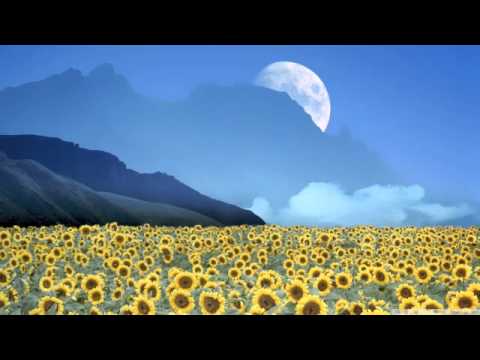 Nucvise Vs Nitrous Oxide - Fields Of Illusion (7 Skies & Static Blue Remix)