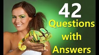 Chameleon Pet Care Guide - Everything You Need To Know About Chameleons 