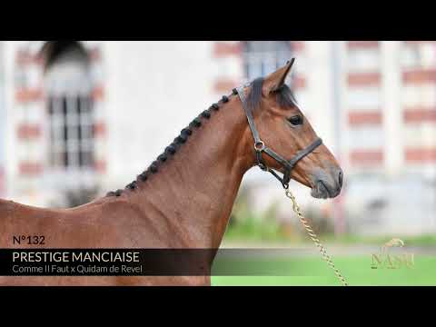 PRESTIGE MANCIAISE