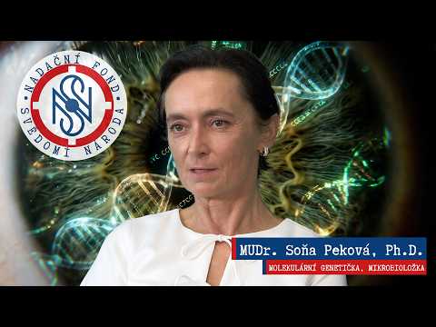Soňa Peková: Vím, že to všechno dopadne. Rozhovor o fluidním čase, Akáše a tichu místo amplionu