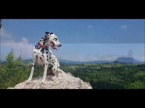 Pješke po Zagorju - On foot by Zagorje - Croatia walking tour with 2 dalmatians