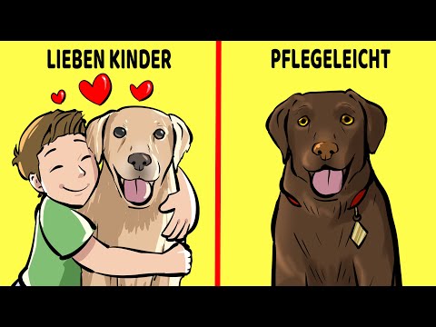 Die 10 Besten Hunderassen Für Kinder Und Familien