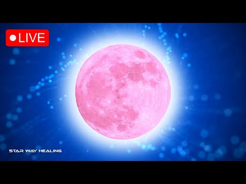 PINK FULL MOON • APRIL 2024 • MANIFEST YOUR DREAMS • 528Hz • LAW OF ATTRACTION