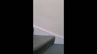 Album cover: carpet cleaning video