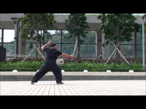 NORTHERN MANTIS/BEI TANG LANG PART-10 - YAN QING DAN DAO