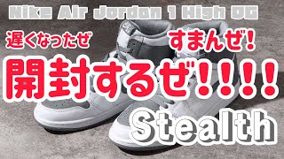 届いたNike Air Jordan 1 High OG “Stealth"をみんなで一緒に見よう！