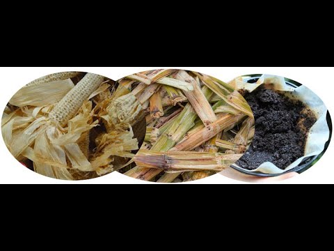 #158 Produção de oligossacarídeos a partir de pré tratamentos verdes #SIFSC11