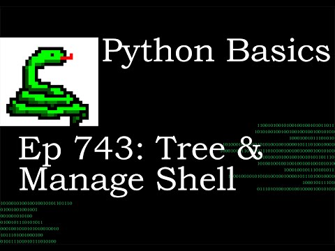Python Basics Tutorial Tree And Django Manage Shell Command