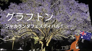 【オーストラリア生活】グラフトン！ジャカランタフェスティバル！