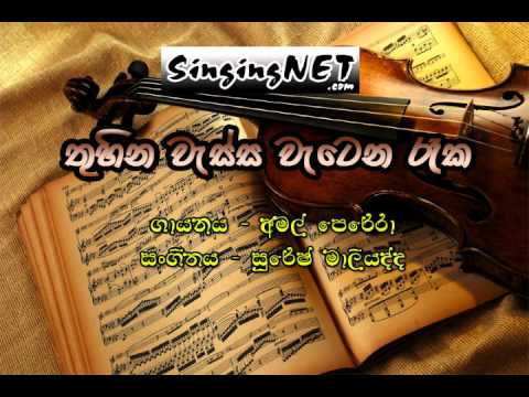 Thuhina Wessa Watena Raka - Amal Perera