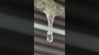 寒さ辛ら