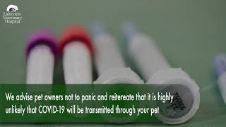 Should I be worried about my pet and coronavirus?