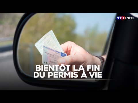 Bientôt la fin du permis à vie｜TF1 INFO