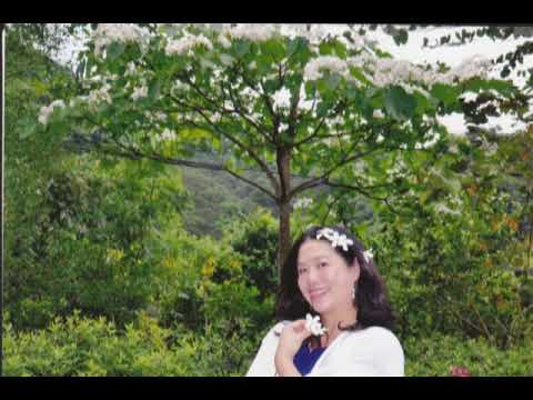 စိန္တိုး + သင္းသင္း - Taiwan  ( အၾကင္နာေလွ )  ေတးေရး   စႏၵရား - ခ်စ္ေဆြ