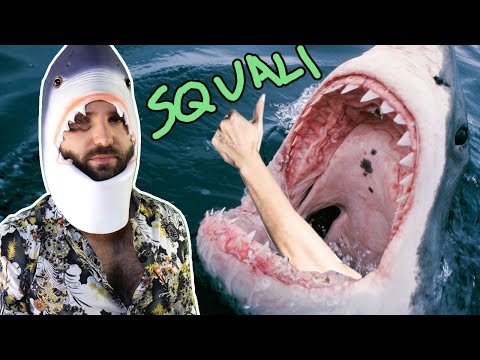 Things You Didn't Want to Know About Sharks - Bad Science