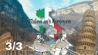 Karpfenangeln in Italien am Parco del Brenta / ,,Teil 3,, damit hätten