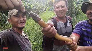 Download lagu Rezeki nomplok, Mancing Belut Dapat Monster mp3
