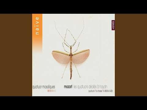 String Quartet No. 16 in E-Flat Major, K. 428: I. Allegro non troppo